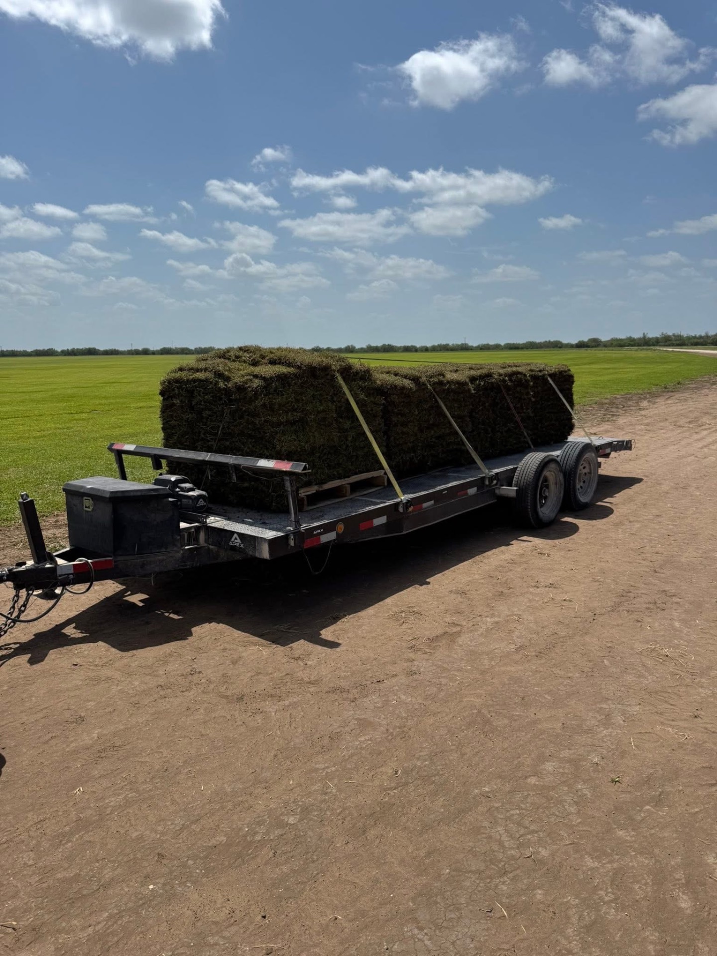 Trailer loaded with pallets of fresh sod for delivery in South Texas