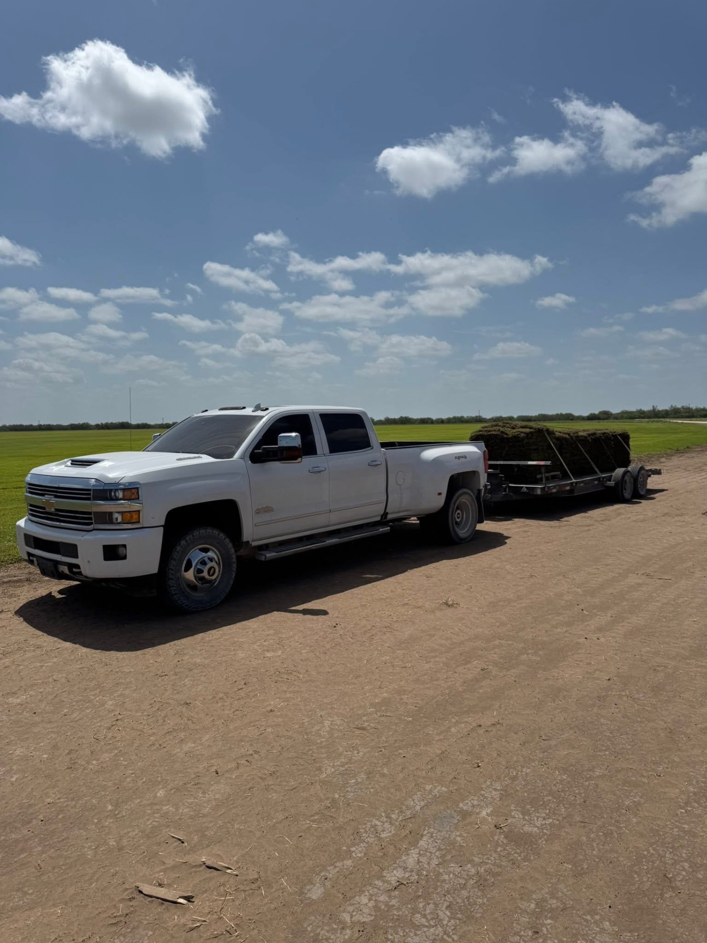 Chevy dually hauling pallets of sod across a Texas sod farm